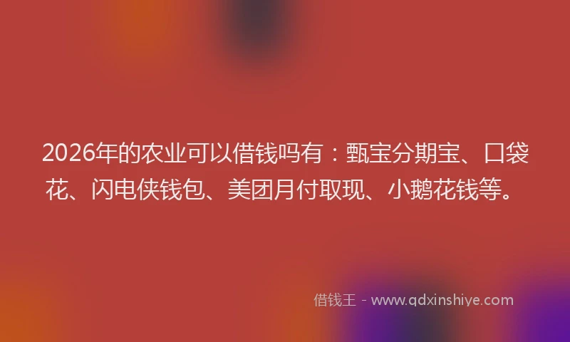 2026年的农业可以借钱吗有：甄宝分期宝、口袋花、闪电侠钱包、美团月付取现、小鹅花钱等。