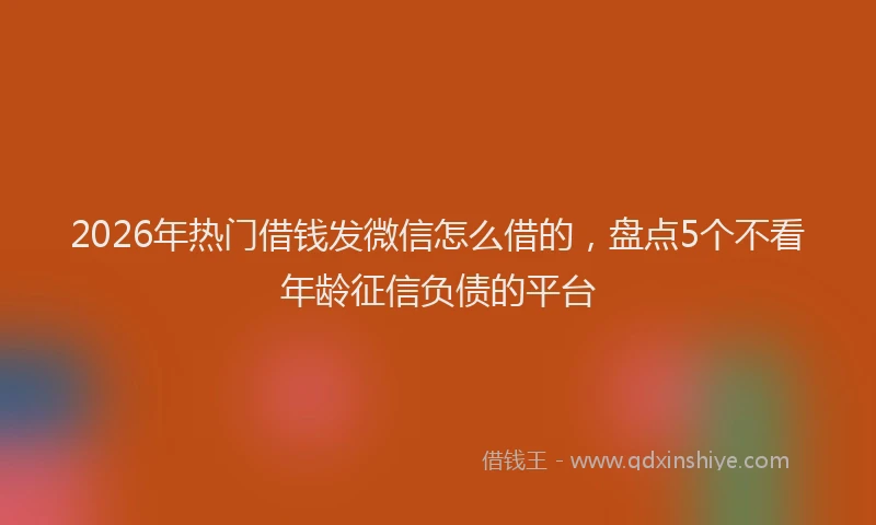 2026年热门借钱发微信怎么借的，盘点5个不看年龄征信负债的平台