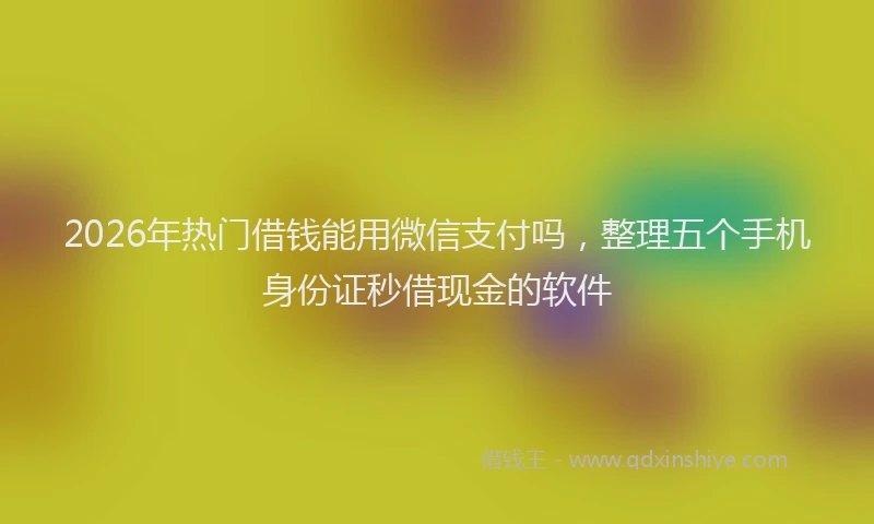 2026年热门借钱能用微信支付吗，整理五个手机身份证秒借现金的软件