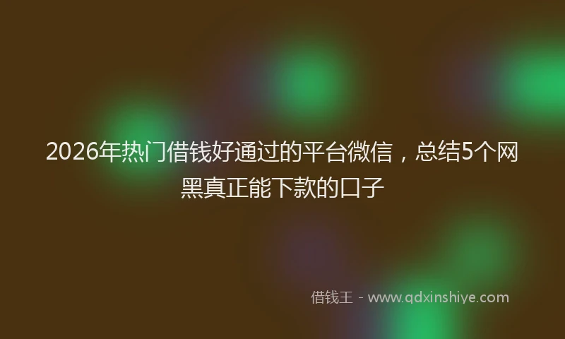 2026年热门借钱好通过的平台微信，总结5个网黑真正能下款的口子