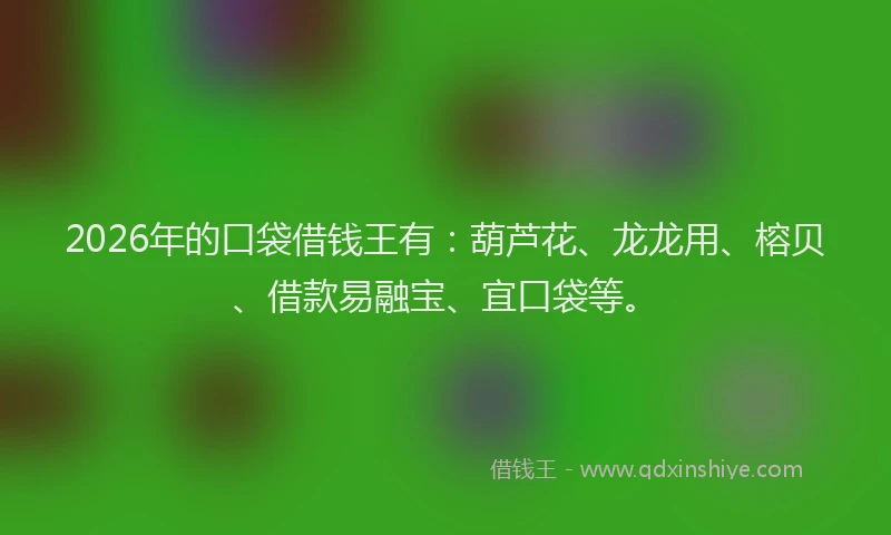 2026年的口袋借钱王有：葫芦花、龙龙用、榕贝、借款易融宝、宜口袋等。
