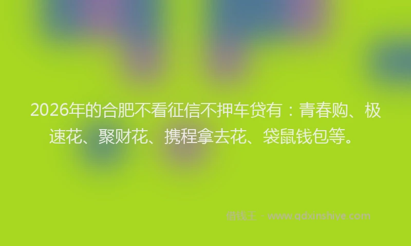 2026年的合肥不看征信不押车贷有：青春购、极速花、聚财花、携程拿去花、袋鼠钱包等。