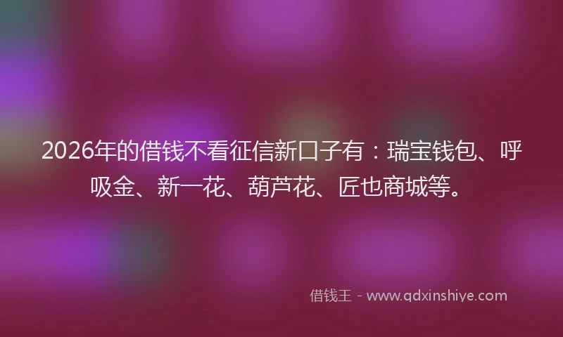 2026年的借钱不看征信新口子有：瑞宝钱包、呼吸金、新一花、葫芦花、匠也商城等。