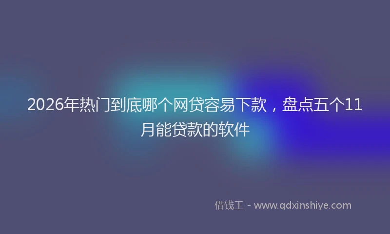 2026年热门到底哪个网贷容易下款，盘点五个11月能贷款的软件