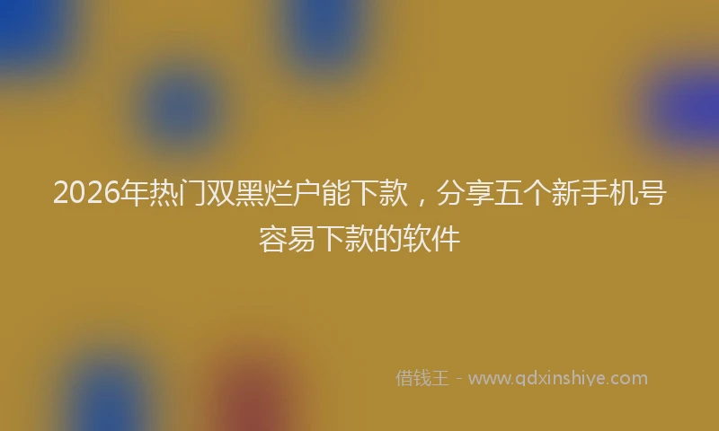 2026年热门双黑烂户能下款，分享五个新手机号容易下款的软件