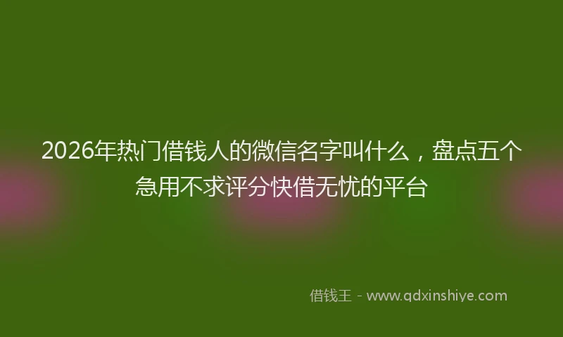 2026年热门借钱人的微信名字叫什么，盘点五个急用不求评分快借无忧的平台
