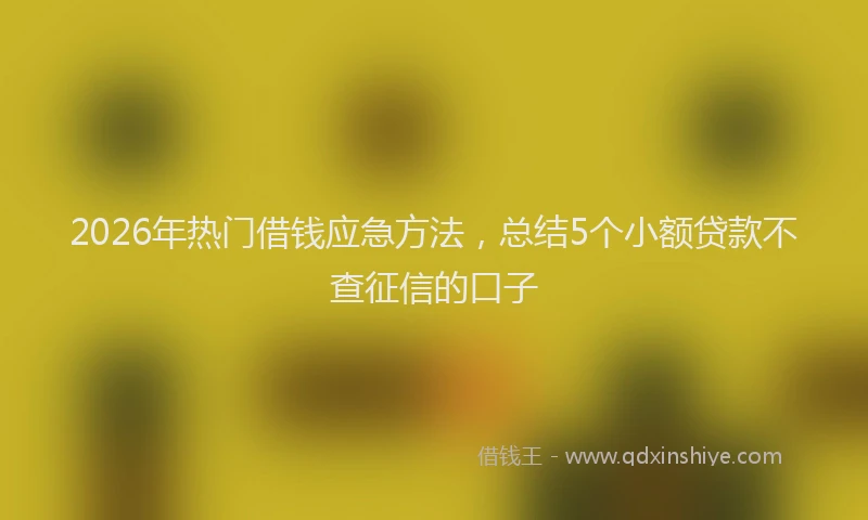 2026年热门借钱应急方法，总结5个小额贷款不查征信的口子