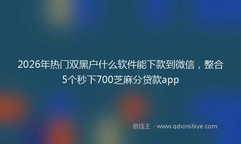 2026年热门双黑户什么软件能下款到微信，整合5个秒下700芝麻分贷款app
