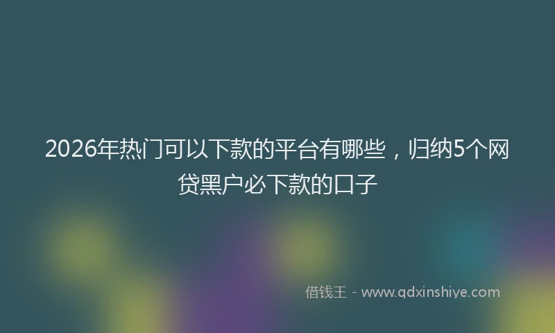 2026年热门可以下款的平台有哪些，归纳5个网贷黑户必下款的口子