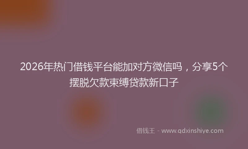 2026年热门借钱平台能加对方微信吗，分享5个摆脱欠款束缚贷款新口子