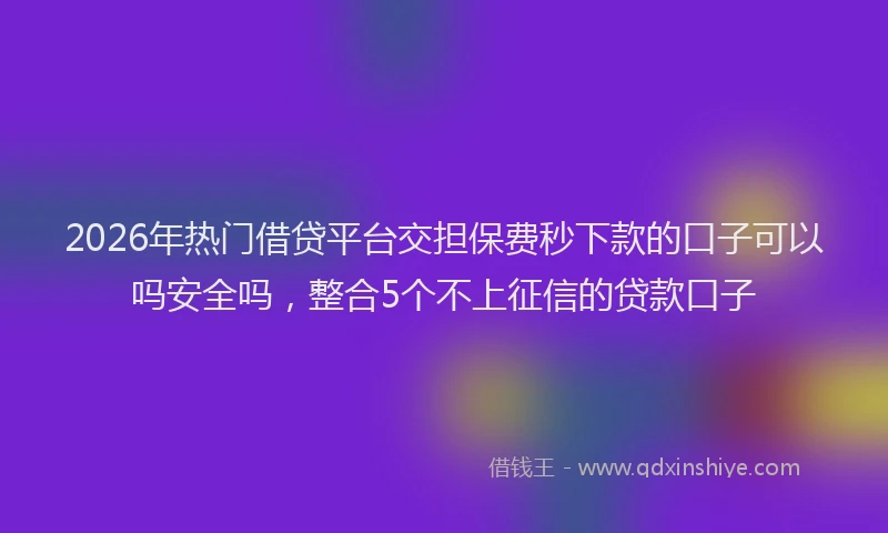 2026年热门借贷平台交担保费秒下款的口子可以吗安全吗，整合5个不上征信的贷款口子