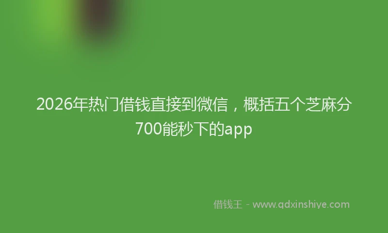2026年热门借钱直接到微信，概括五个芝麻分700能秒下的app
