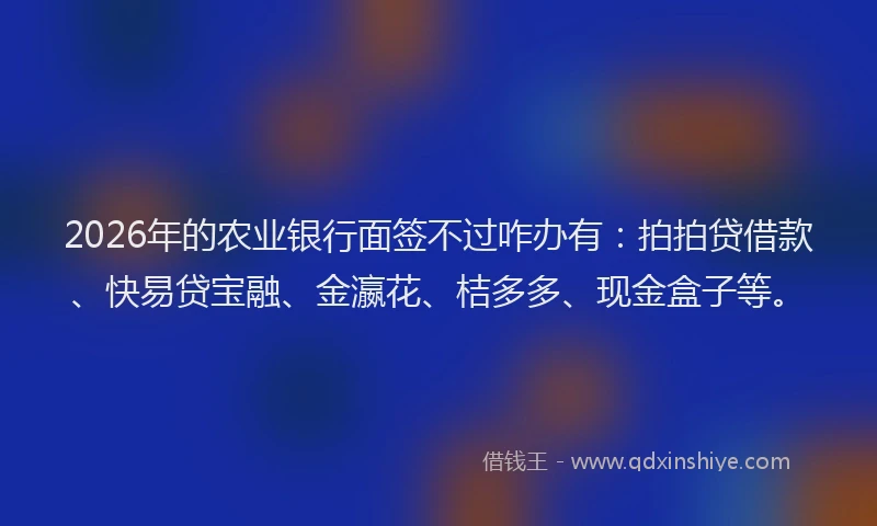 2026年的农业银行面签不过咋办有：拍拍贷借款、快易贷宝融、金瀛花、桔多多、现金盒子等。