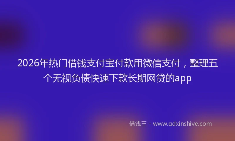 2026年热门借钱支付宝付款用微信支付，整理五个无视负债快速下款长期网贷的app