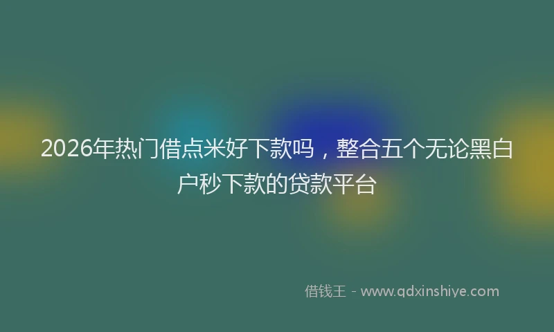 2026年热门借点米好下款吗，整合五个无论黑白户秒下款的贷款平台