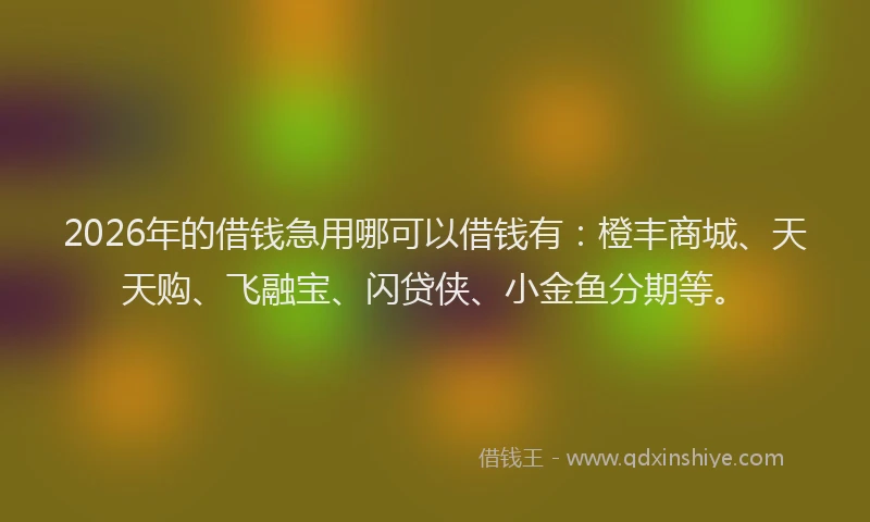 2026年的借钱急用哪可以借钱有：橙丰商城、天天购、飞融宝、闪贷侠、小金鱼分期等。