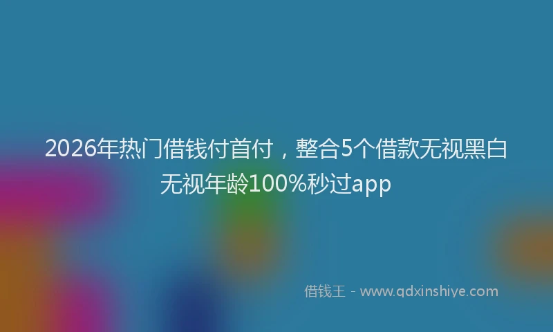 2026年热门借钱付首付，整合5个借款无视黑白无视年龄100%秒过app
