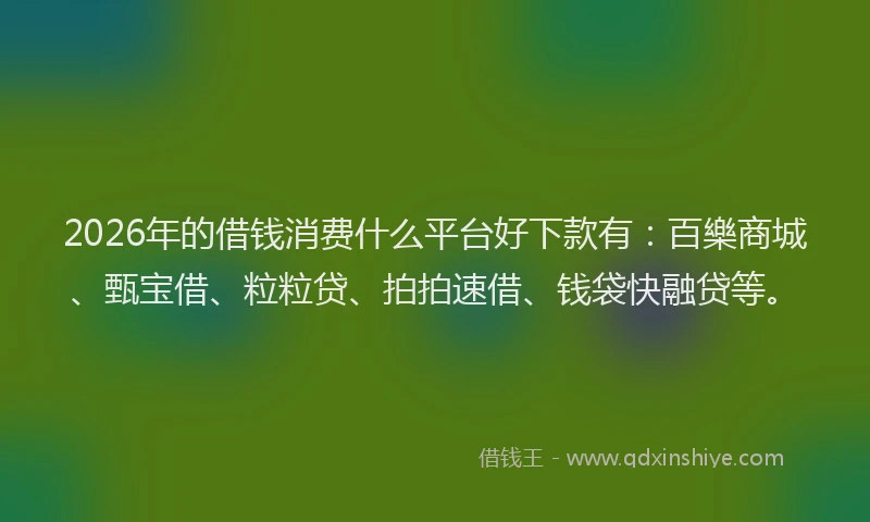 2026年的借钱消费什么平台好下款有：百樂商城、甄宝借、粒粒贷、拍拍速借、钱袋快融贷等。