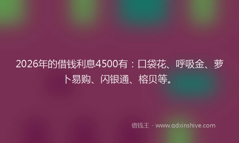 2026年的借钱利息4500有：口袋花、呼吸金、萝卜易购、闪银通、榕贝等。