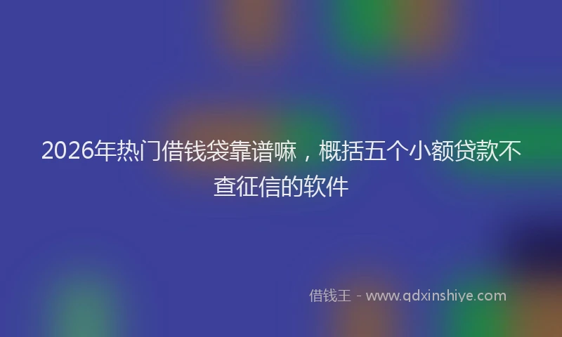 2026年热门借钱袋靠谱嘛，概括五个小额贷款不查征信的软件
