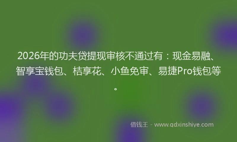 2026年的功夫贷提现审核不通过有：现金易融、智享宝钱包、桔享花、小鱼免审、易捷Pro钱包等。