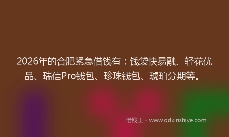2026年的合肥紧急借钱有：钱袋快易融、轻花优品、瑞信Pro钱包、珍珠钱包、琥珀分期等。