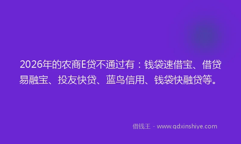 2026年的农商E贷不通过有：钱袋速借宝、借贷易融宝、投友快贷、蓝鸟信用、钱袋快融贷等。