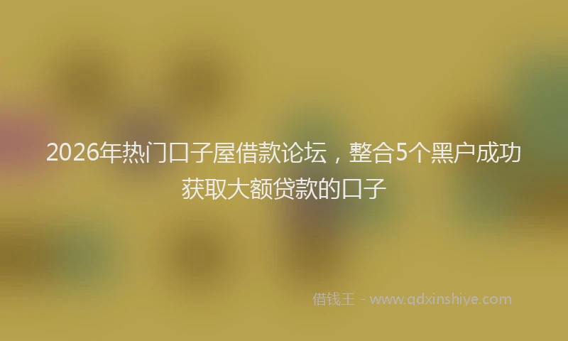 2026年热门口子屋借款论坛，整合5个黑户成功获取大额贷款的口子