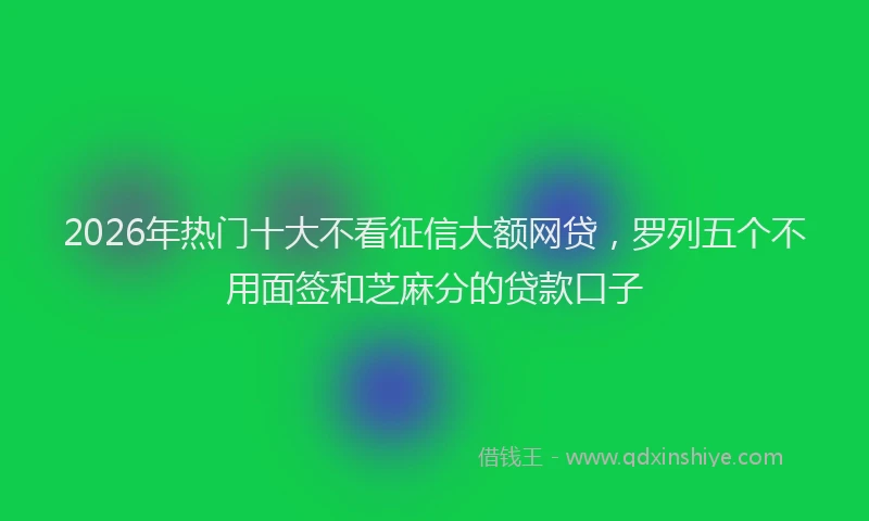 2026年热门十大不看征信大额网贷，罗列五个不用面签和芝麻分的贷款口子