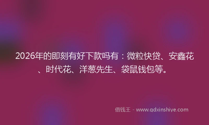 2026年的即刻有好下款吗有：微粒快贷、安鑫花、时代花、洋葱先生、袋鼠钱包等。