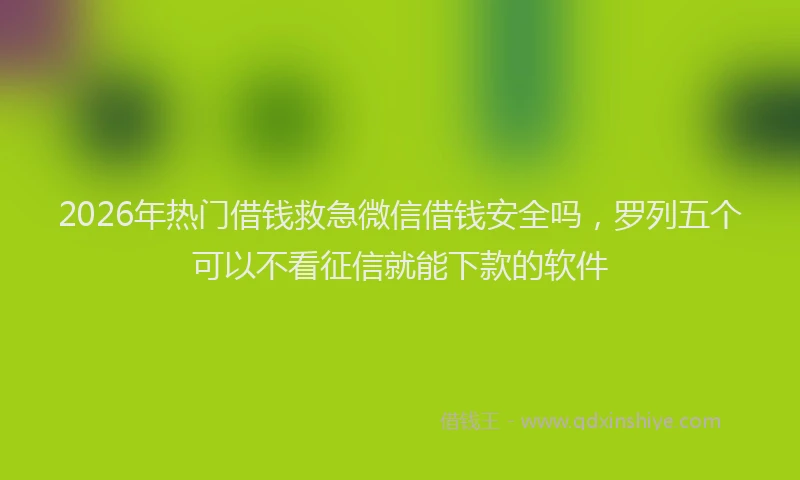 2026年热门借钱救急微信借钱安全吗，罗列五个可以不看征信就能下款的软件