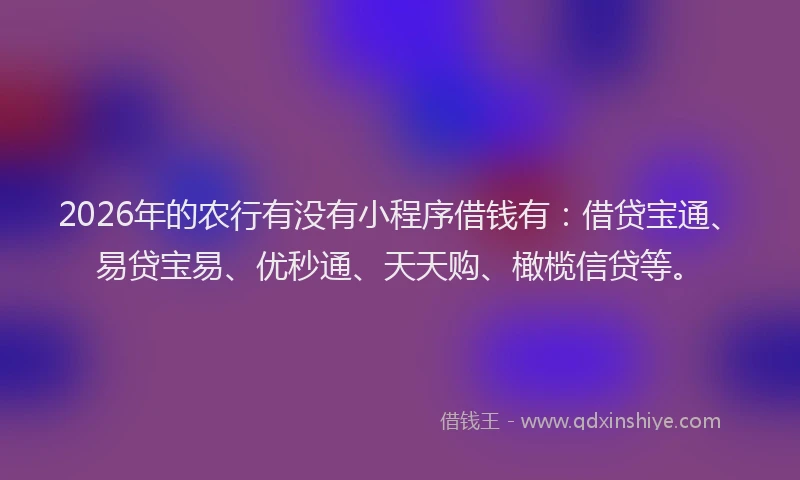 2026年的农行有没有小程序借钱有：借贷宝通、易贷宝易、优秒通、天天购、橄榄信贷等。