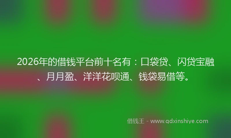 2026年的借钱平台前十名有：口袋贷、闪贷宝融、月月盈、洋洋花呗通、钱袋易借等。