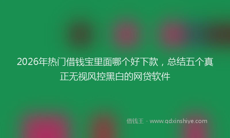 2026年热门借钱宝里面哪个好下款，总结五个真正无视风控黑白的网贷软件