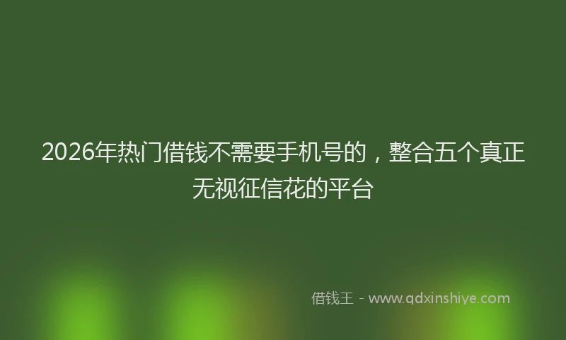 2026年热门借钱不需要手机号的，整合五个真正无视征信花的平台