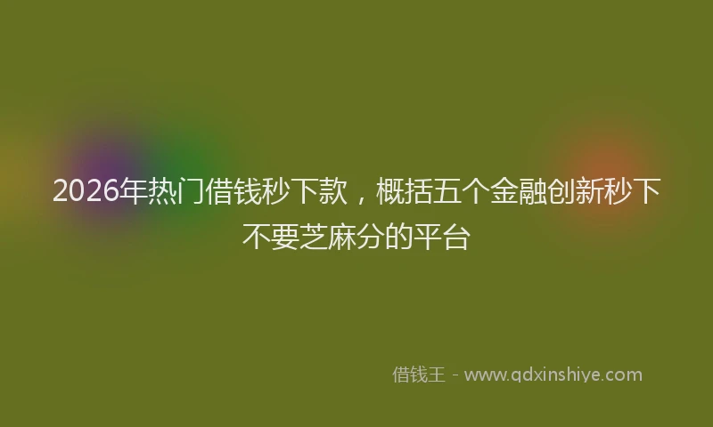 2026年热门借钱秒下款，概括五个金融创新秒下不要芝麻分的平台
