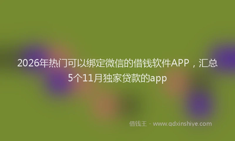 2026年热门可以绑定微信的借钱软件APP，汇总5个11月独家贷款的app