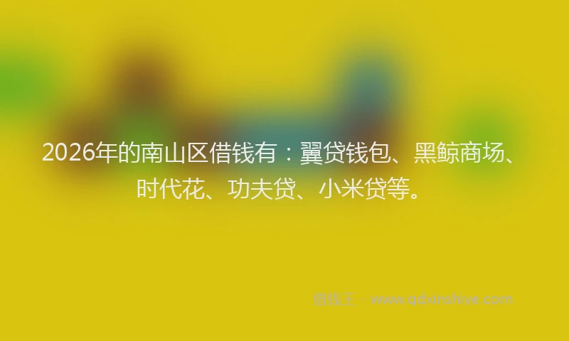 2026年的南山区借钱有：翼贷钱包、黑鲸商场、时代花、功夫贷、小米贷等。