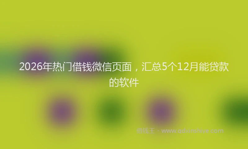 2026年热门借钱微信页面，汇总5个12月能贷款的软件