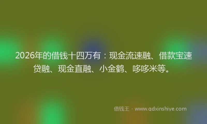 2026年的借钱十四万有：现金流速融、借款宝速贷融、现金直融、小金鹤、哆哆米等。