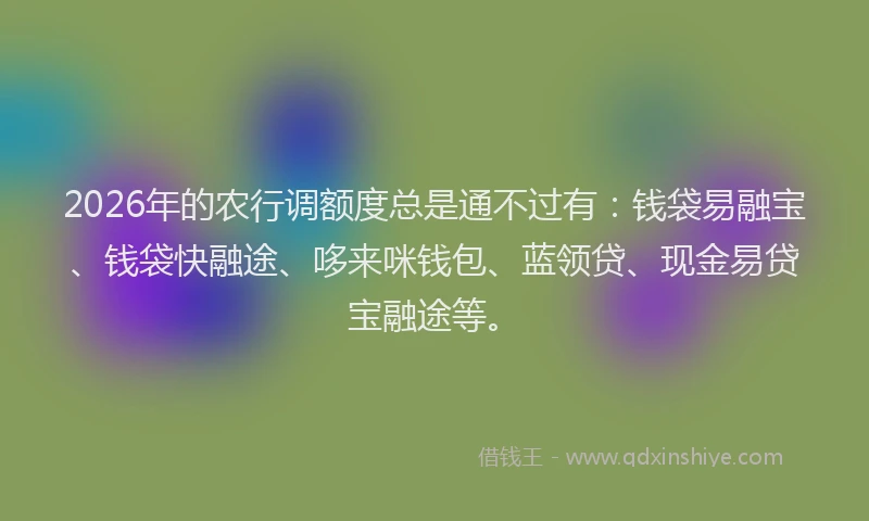 2026年的农行调额度总是通不过有：钱袋易融宝、钱袋快融途、哆来咪钱包、蓝领贷、现金易贷宝融途等。