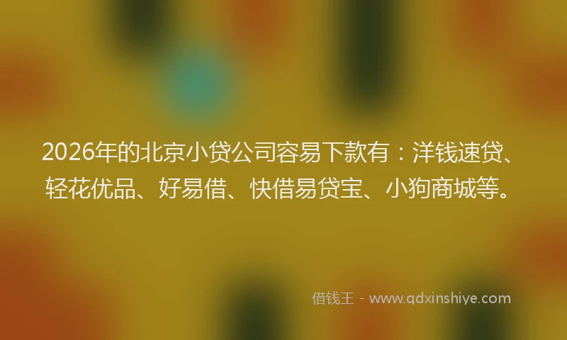2026年的北京小贷公司容易下款有：洋钱速贷、轻花优品、好易借、快借易贷宝、小狗商城等。