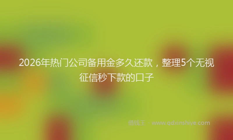 2026年热门公司备用金多久还款，整理5个无视征信秒下款的口子