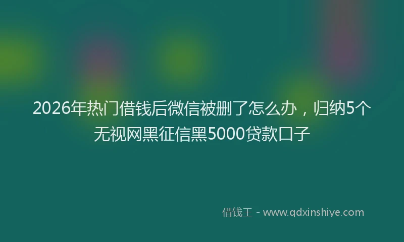 2026年热门借钱后微信被删了怎么办，归纳5个无视网黑征信黑5000贷款口子