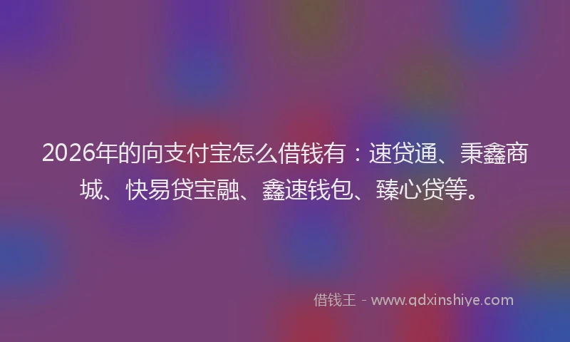 2026年的向支付宝怎么借钱有：速贷通、秉鑫商城、快易贷宝融、鑫速钱包、臻心贷等。