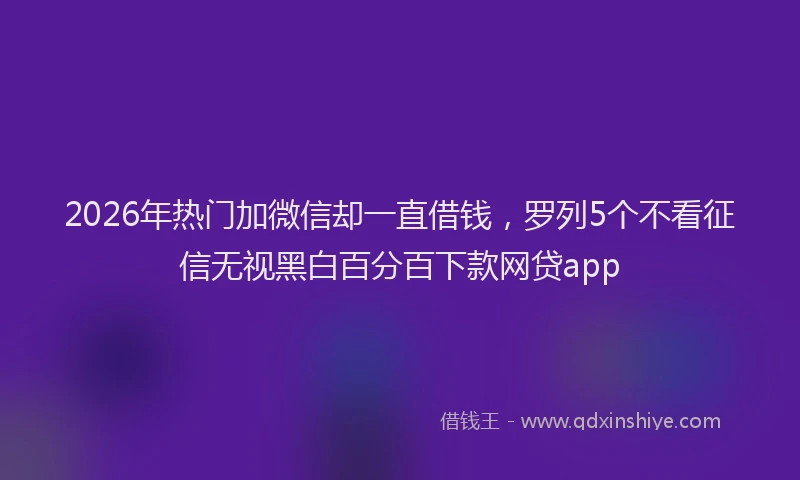 2026年热门加微信却一直借钱，罗列5个不看征信无视黑白百分百下款网贷app