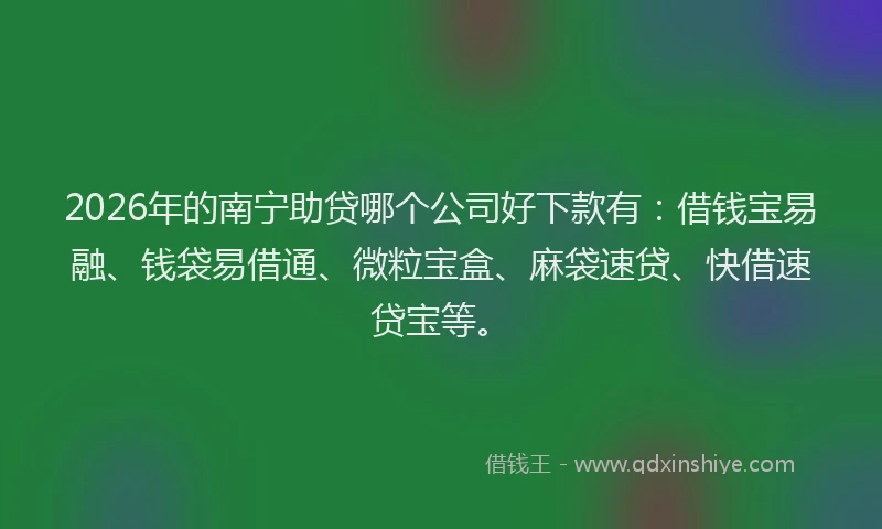 2026年的南宁助贷哪个公司好下款有：借钱宝易融、钱袋易借通、微粒宝盒、麻袋速贷、快借速贷宝等。