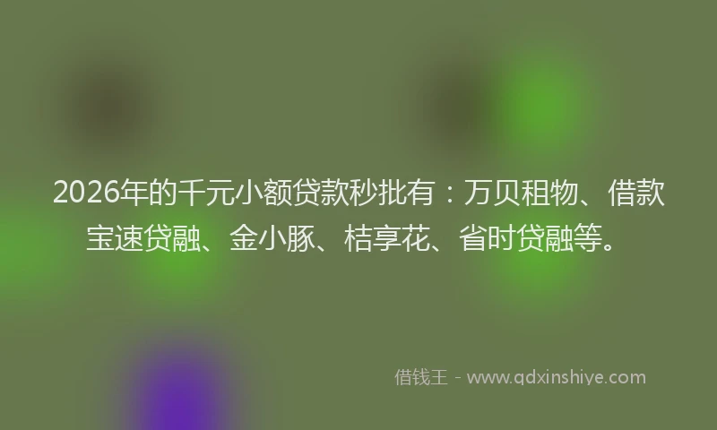 2026年的千元小额贷款秒批有：万贝租物、借款宝速贷融、金小豚、桔享花、省时贷融等。