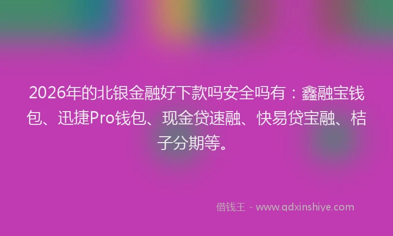 2026年的北银金融好下款吗安全吗有：鑫融宝钱包、迅捷Pro钱包、现金贷速融、快易贷宝融、桔子分期等。