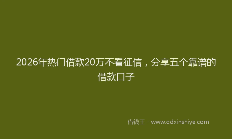 2026年热门借款20万不看征信，分享五个靠谱的借款口子